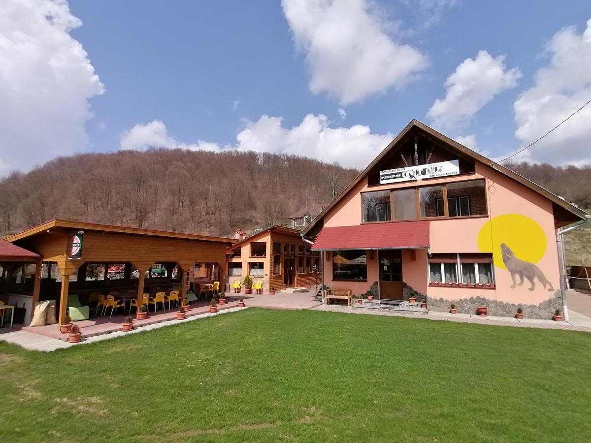 Pensiunea Colt Alb Băile Homorod 외부 사진